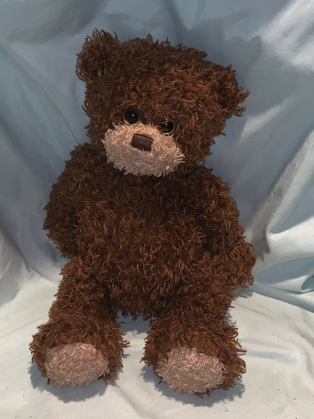 2010 Ty Classic Shaggy Brown Bear